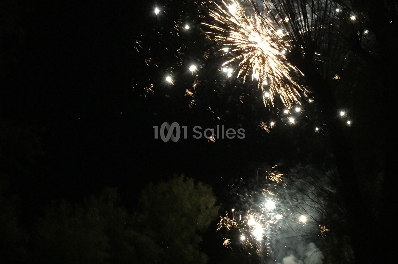 Feux d'artifice illuminant le ciel nocturne avec des arbres sombres en arrière-plan.