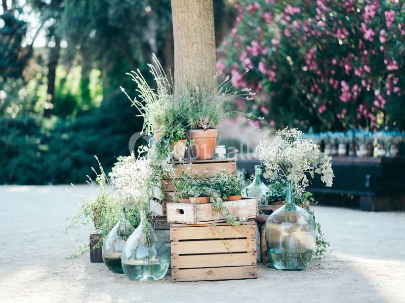 Arrangement de plantes, pots en terre cuite et bonbonnes en verre disposés autour d'un tronc d'arbre en extérieur.