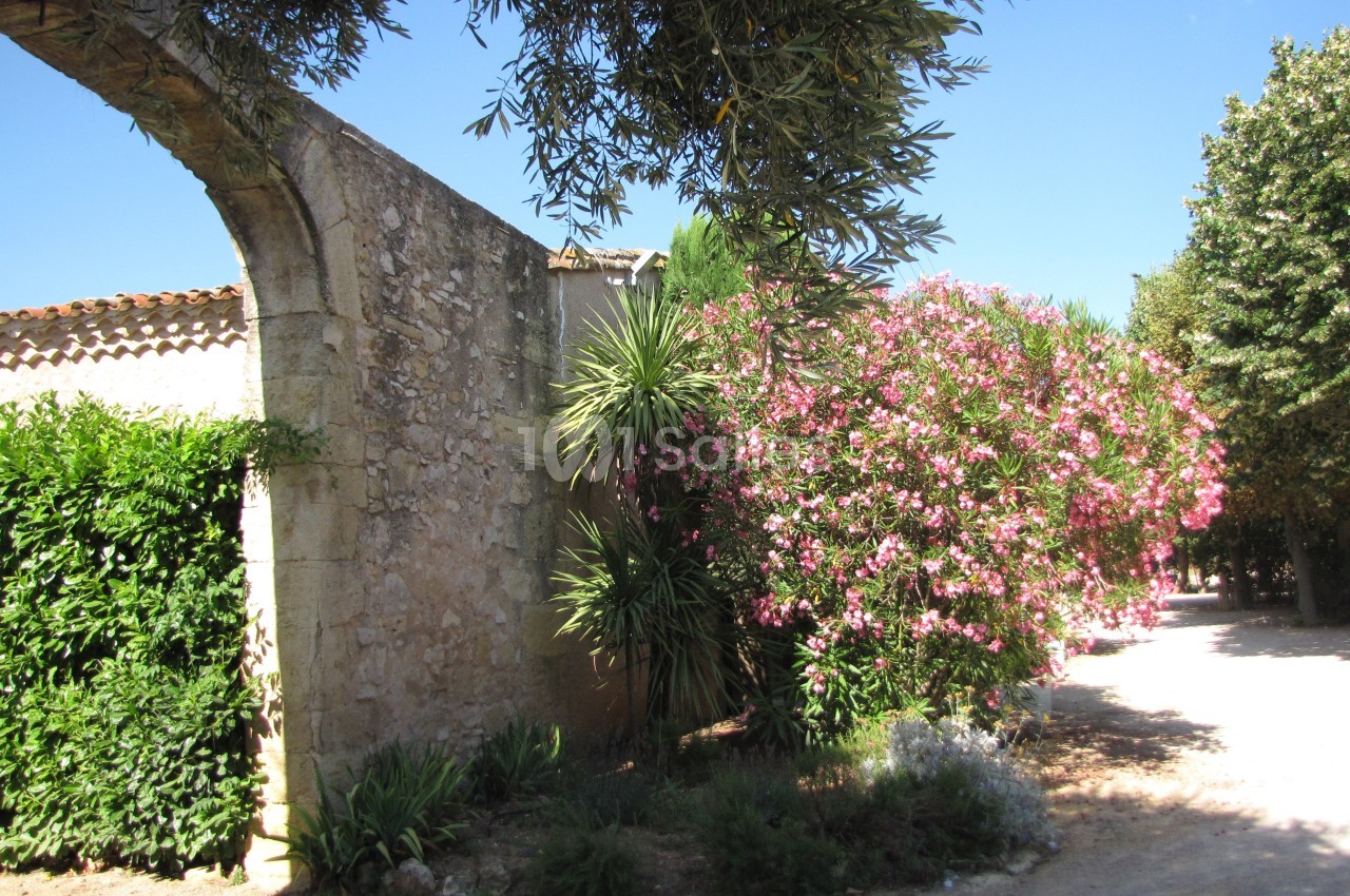 Mur en pierre avec arche, entouré de végétation méditerranéenne, dont des lauriers-roses en fleurs et des arbres.