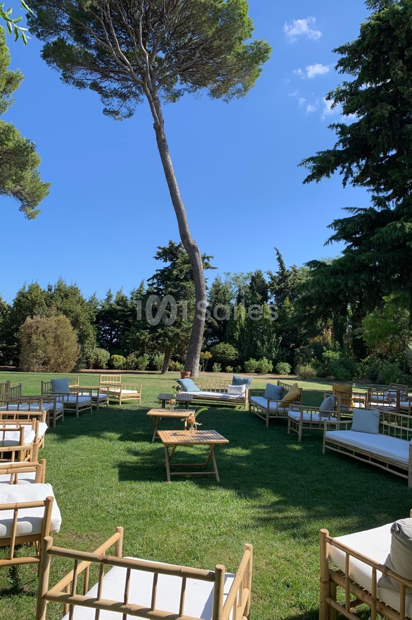 Chaises et canapés en bois disposés sur une pelouse verdoyante entourée d'arbres sous un ciel bleu.