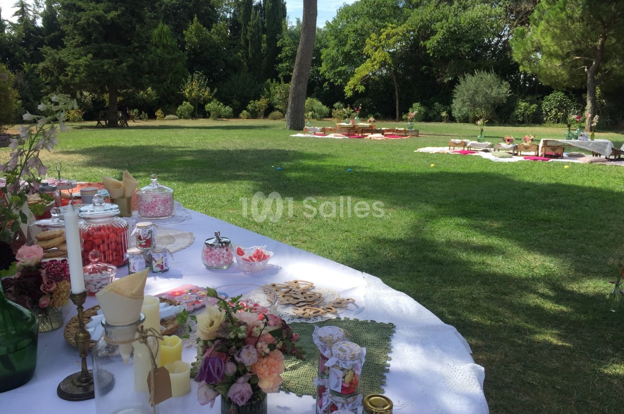 Table décorée avec des douceurs et des objets festifs sur une pelouse, avec des espaces de pique-nique en arrière-plan.