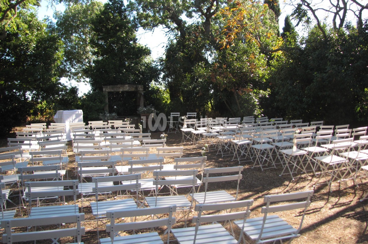 Chaises blanches disposées en extérieur sous des arbres, formant une configuration pour un événement ou une cérémonie.
