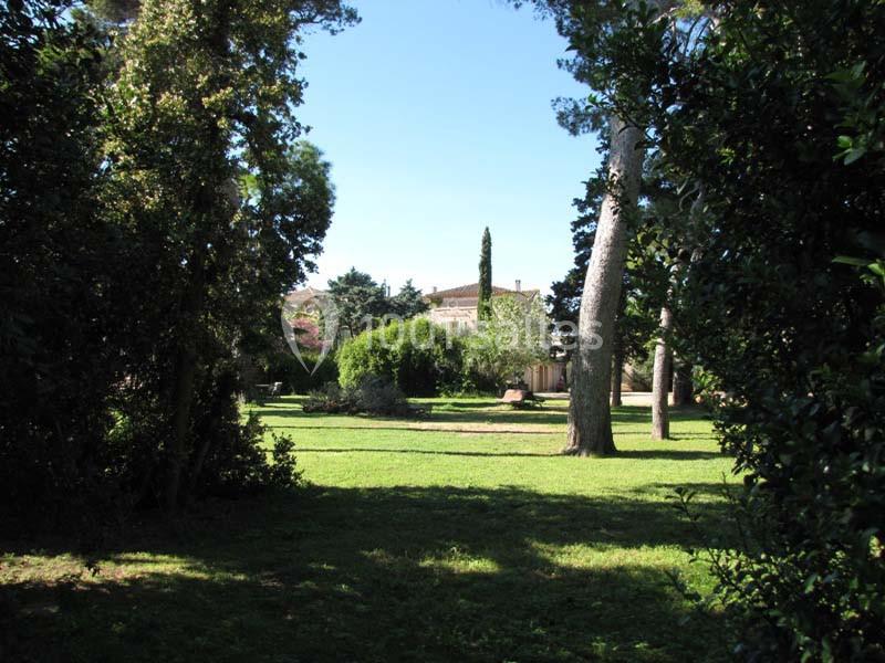 Vue d'un jardin verdoyant entouré d'arbres, avec des bâtiments en arrière-plan sous un ciel dégagé.