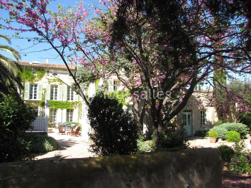 Façade d'une maison en pierre entourée de végétation, avec un arbre en fleurs et une cour aménagée.
