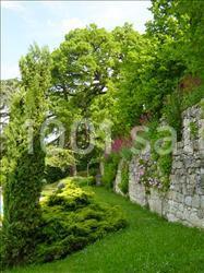 Château De Lassalle - photo 2