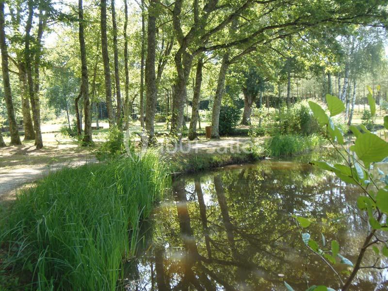 Domaine De La Grande Garenne - galerie - photo 19