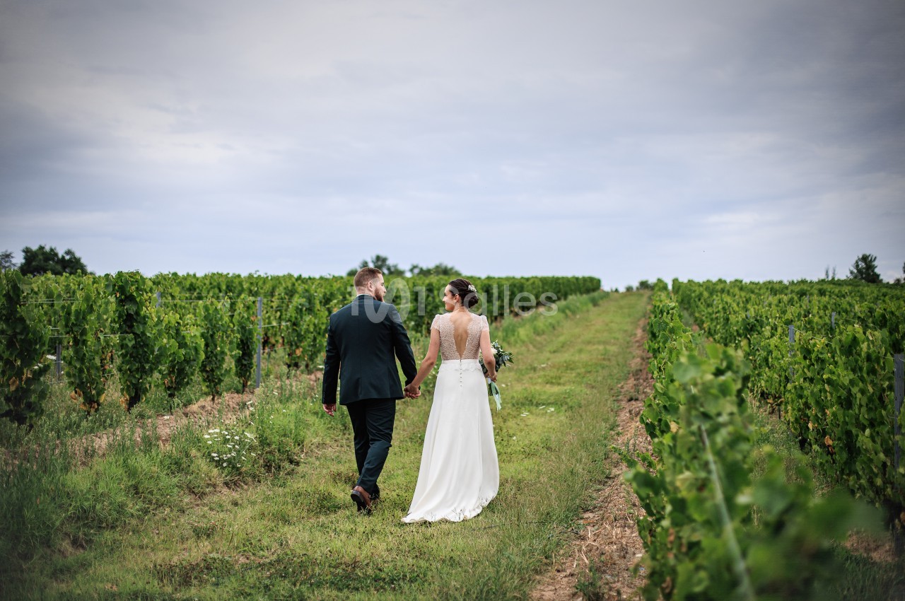 Un couple en tenue de mariage marche main dans la main au milieu de vignes sous un ciel nuageux.
