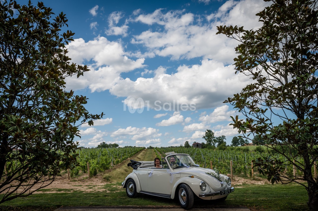 Voiture décapotable blanche garée entre deux arbres, avec un vignoble en arrière-plan sous un ciel partiellement nuageux.