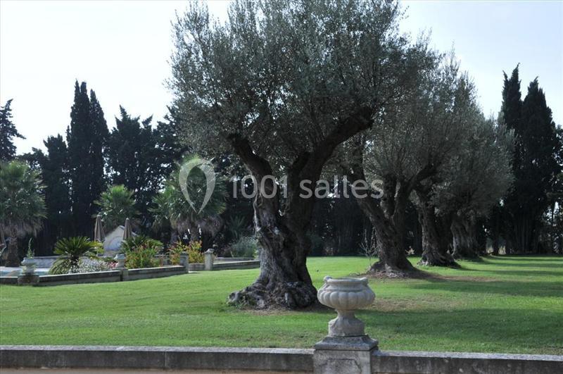 Domaine du Grand Malherbes - galerie - photo 8