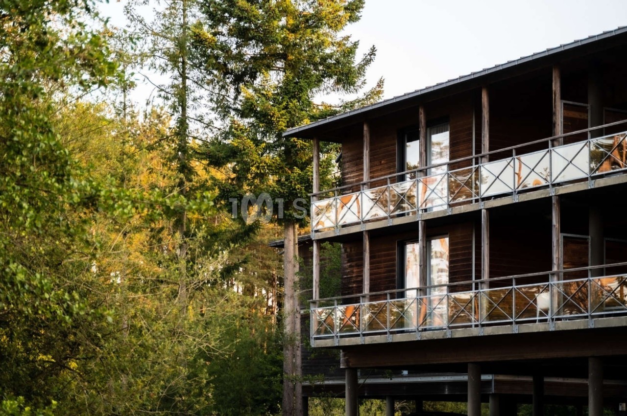 Chalet en bois à deux étages avec balcons, entouré de végétation et d'arbres sous une lumière douce.
