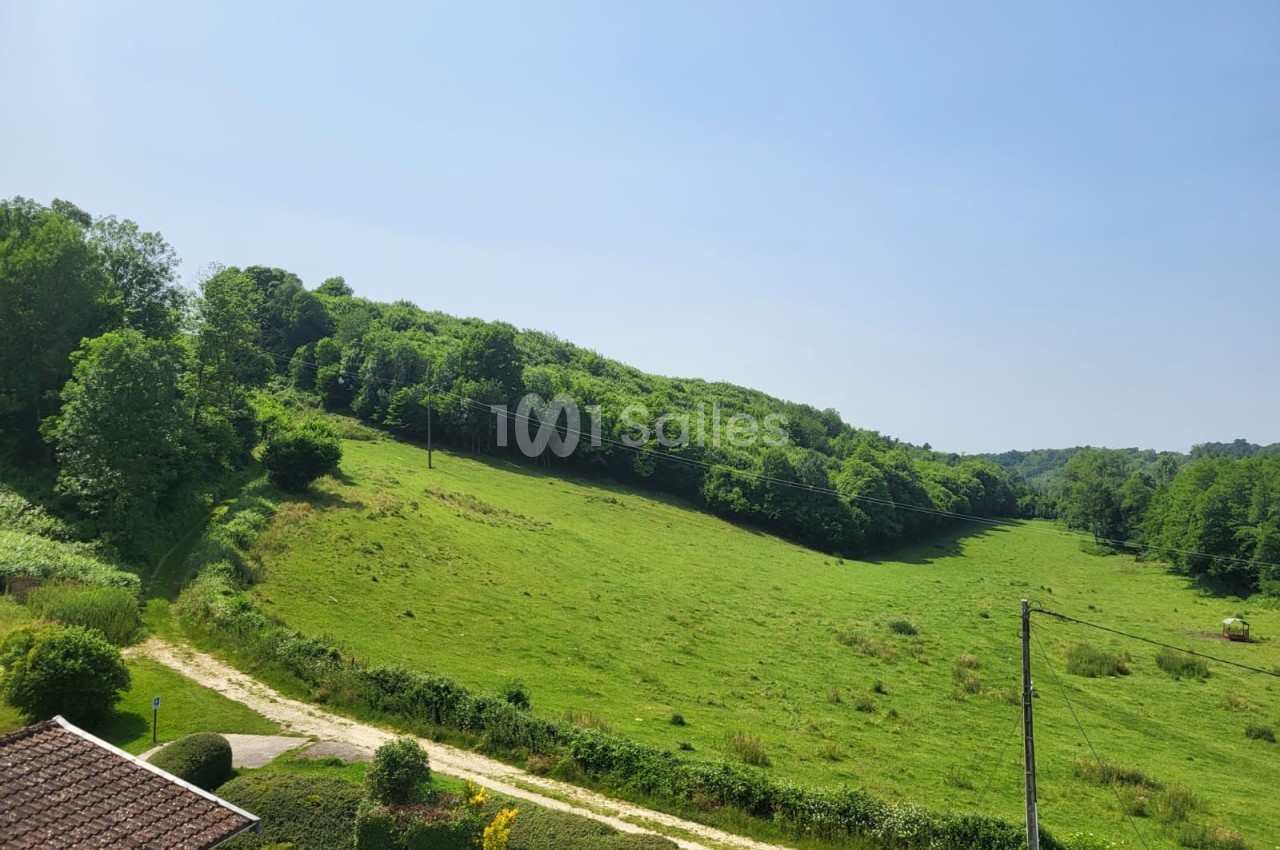 Vue d'une colline verdoyante sous un ciel dégagé, avec un chemin et des arbres en arrière-plan.