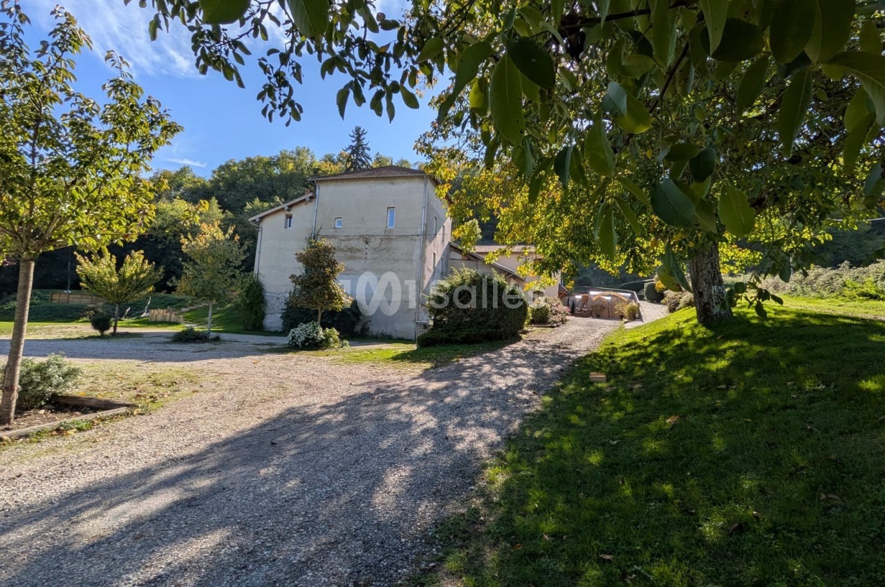 Chemin gravillonné menant à une maison en pierre entourée d'arbres et de végétation sous un ciel dégagé.