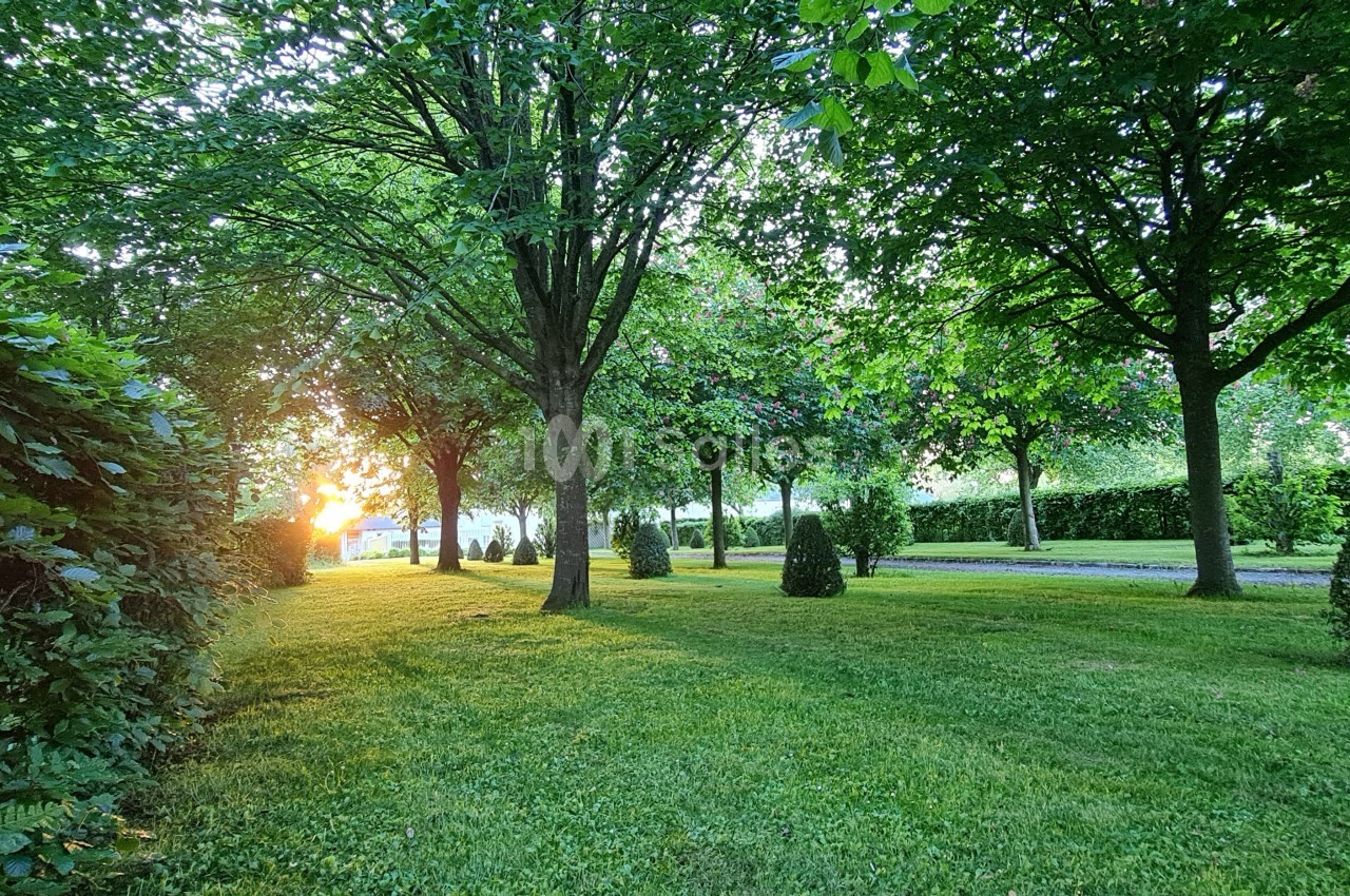 Pelouse verdoyante bordée d'arbres et de haies, éclairée par une lumière de coucher de soleil.