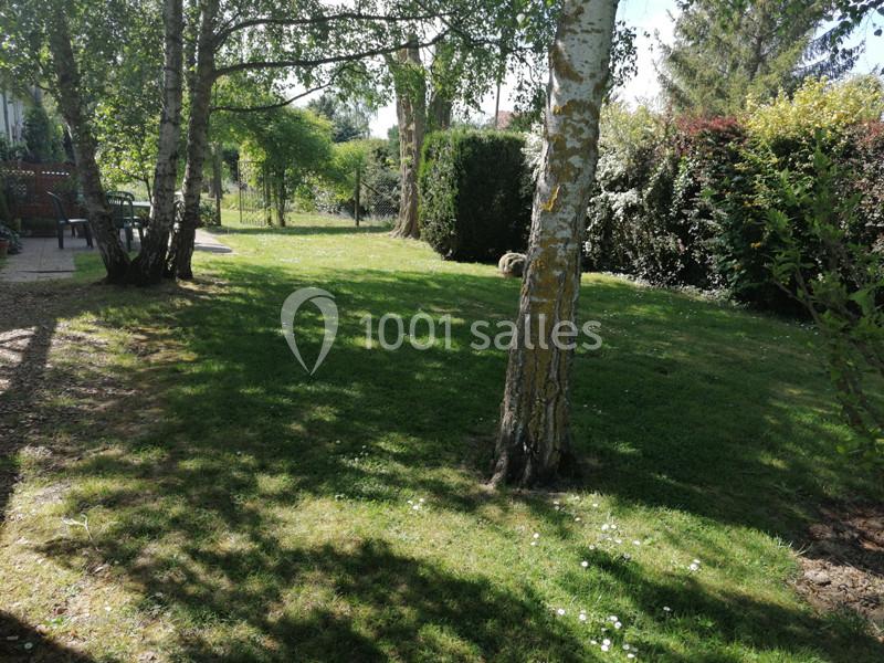 Jardin verdoyant avec pelouse, arbres et arbustes, baigné de lumière naturelle par une journée ensoleillée.