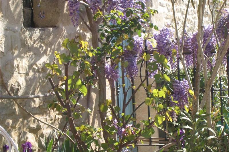 Le Mas de Ponge - photo 3