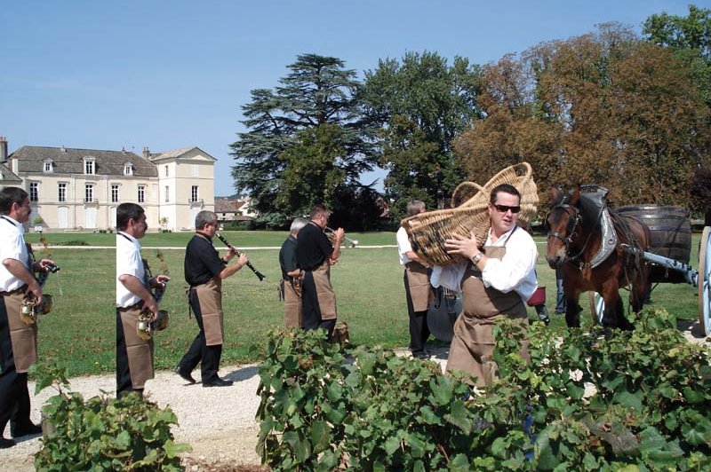 Château De Meursault - photo 4