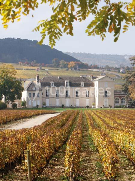 Château De Meursault - galerie - photo 18
