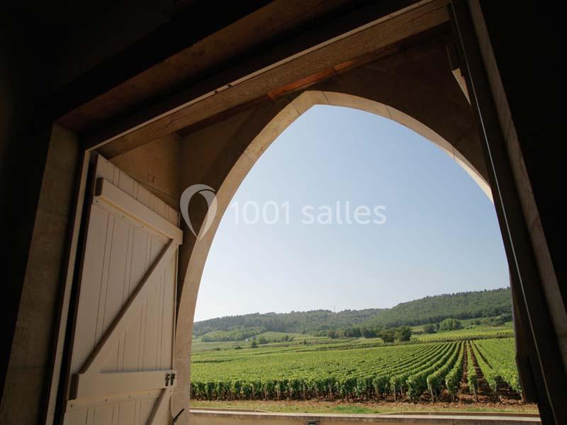 Château De Marsannay - galerie - photo 4