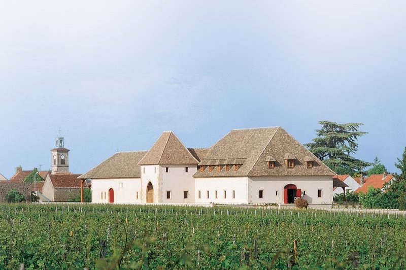 Château De Marsannay - photo 2