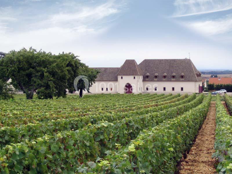 Château De Marsannay - galerie - photo 3