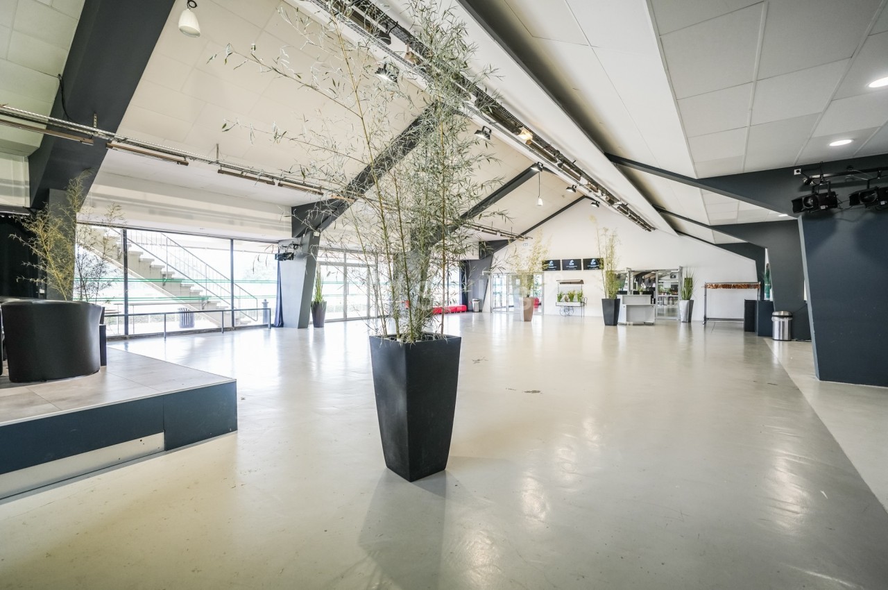 Salle spacieuse et lumineuse avec de grandes baies vitrées, des plantes en pot et un comptoir au fond.