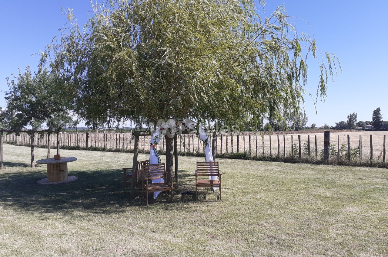 Deux bancs en bois disposés sous un saule dans un jardin ensoleillé, avec une clôture et un champ en arrière-plan.