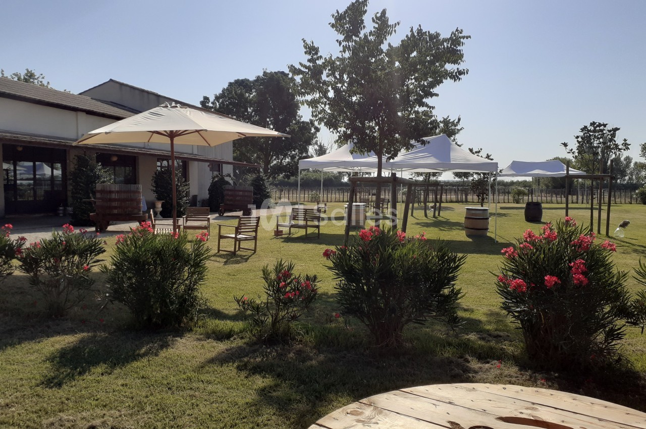 Espace extérieur avec pelouse, parasols, tables, chaises et arbustes fleuris, sous un ciel dégagé.