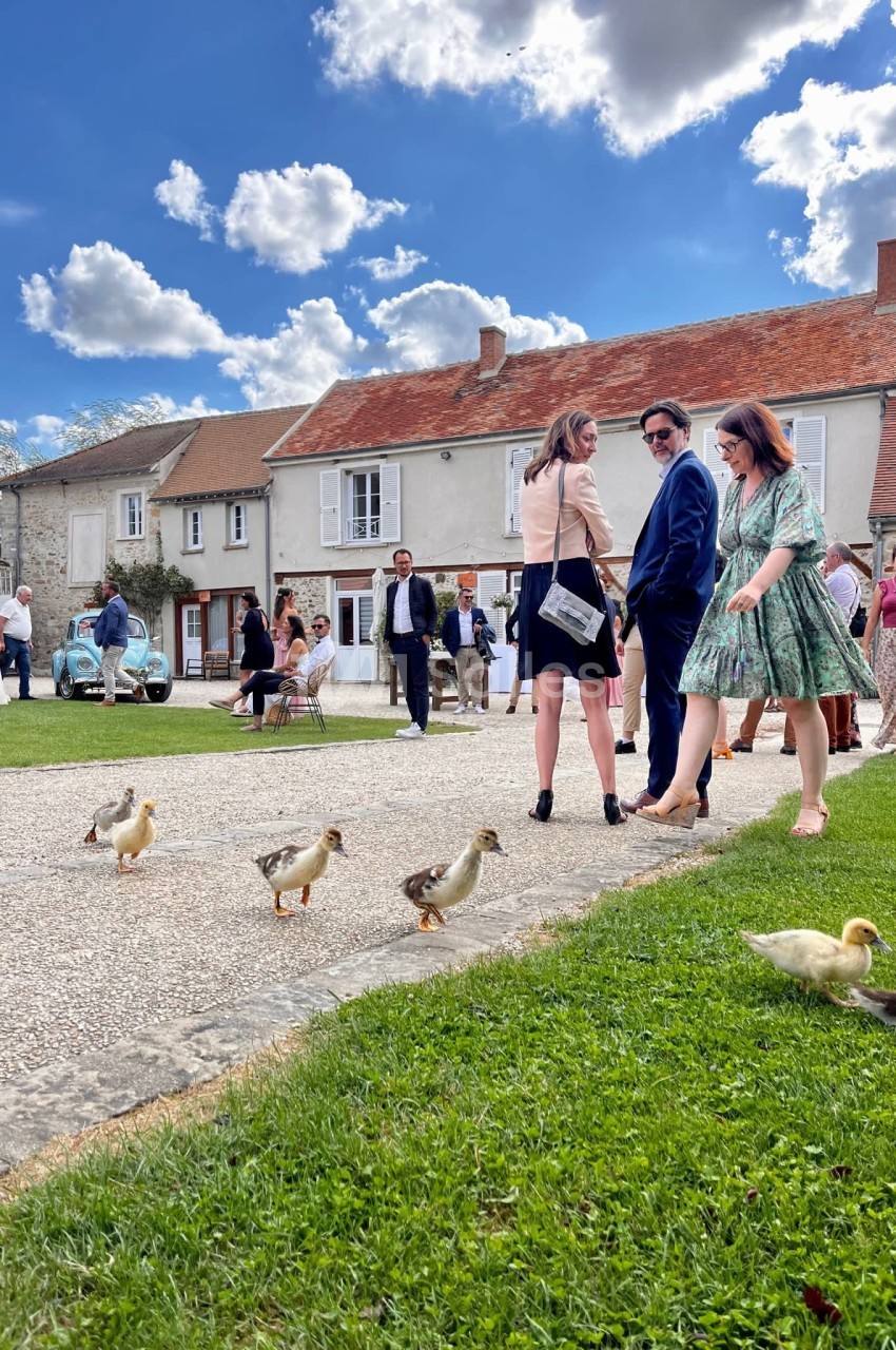 Des canards marchent sur une allée pavée près d'un groupe de personnes élégamment vêtues dans un village ensoleillé.