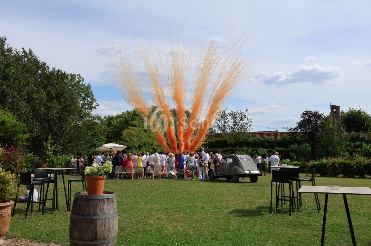 Un groupe de personnes rassemblées dans un jardin observe une explosion festive de fumée orange.