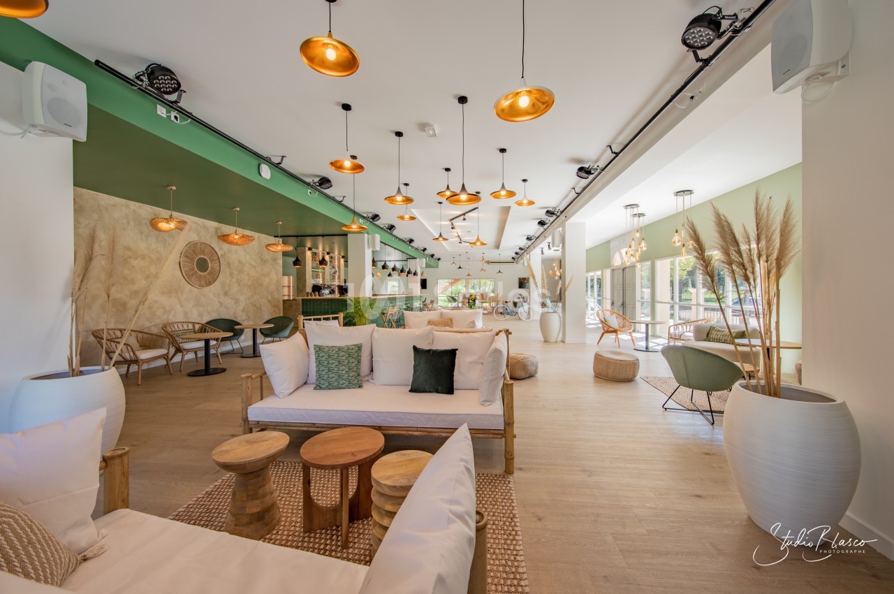 Espace intérieur lumineux avec mobilier en bois, canapés blancs, plantes décoratives et suspensions modernes.