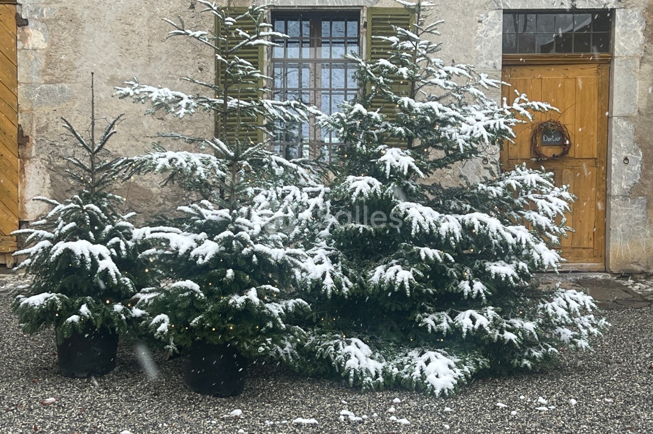 Ferme de Gy - galerie - photo 19