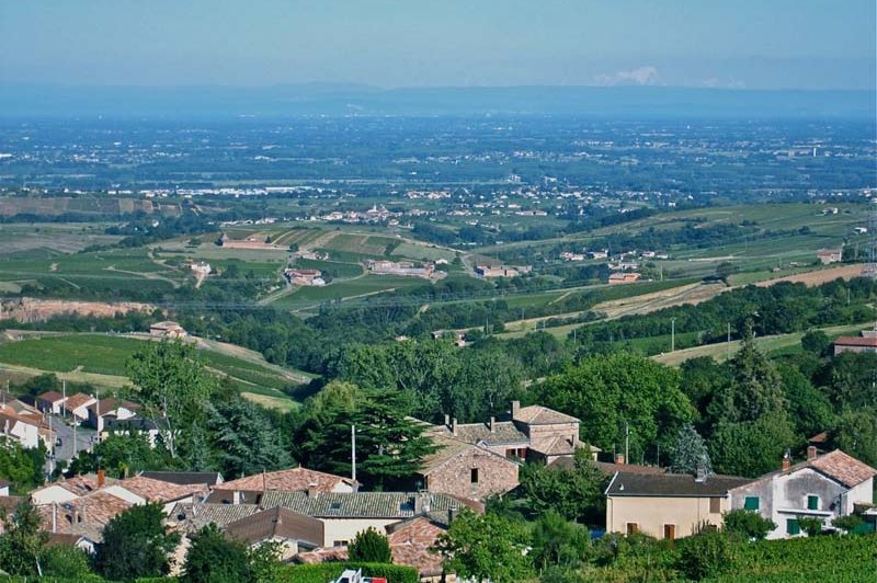 Château Pruzilly - photo 5