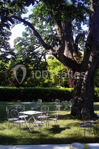 Chaises et tables en fer forgé disposées sous un grand arbre dans un jardin verdoyant, éclairé par la lumière du jour.