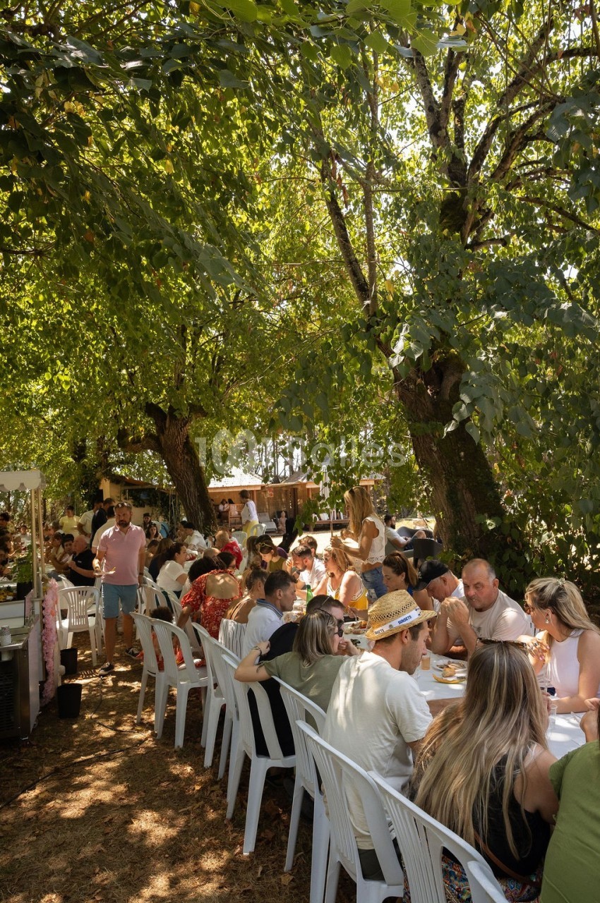 Des personnes dînent à de longues tables blanches disposées sous des arbres dans un cadre extérieur ombragé.