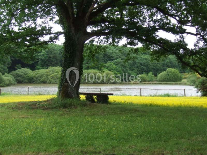 Un banc en bois sous un grand arbre, face à un étang entouré de prairies fleuries et d'arbres.