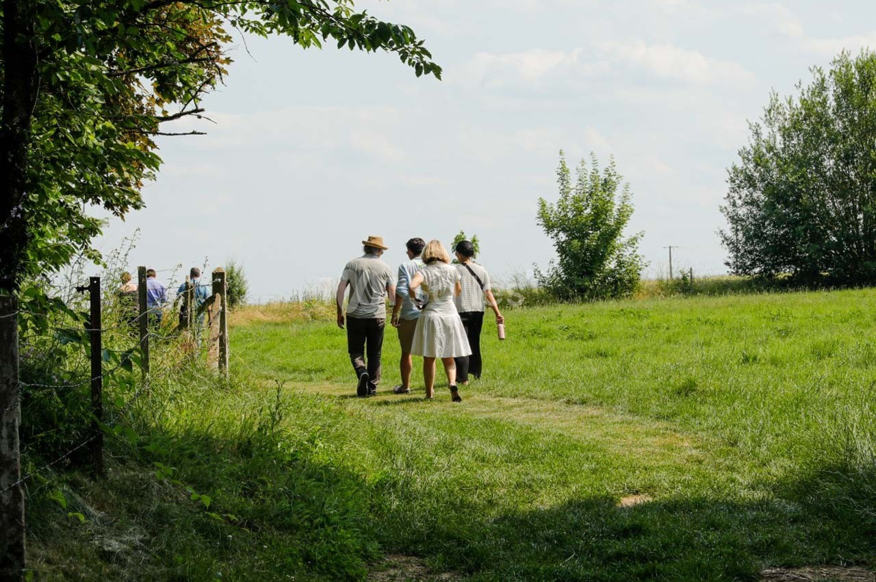 Quatre personnes marchant sur un chemin herbeux en pleine campagne, entourées d'arbres et de champs.
