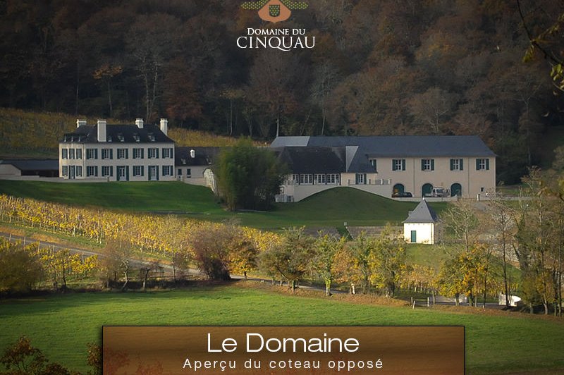 Domaine du Cinquau - photo 3