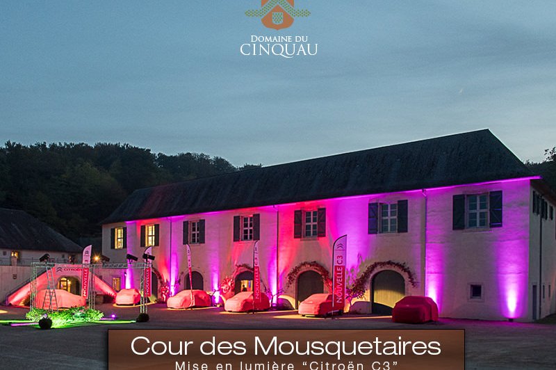 Domaine du Cinquau - photo 2