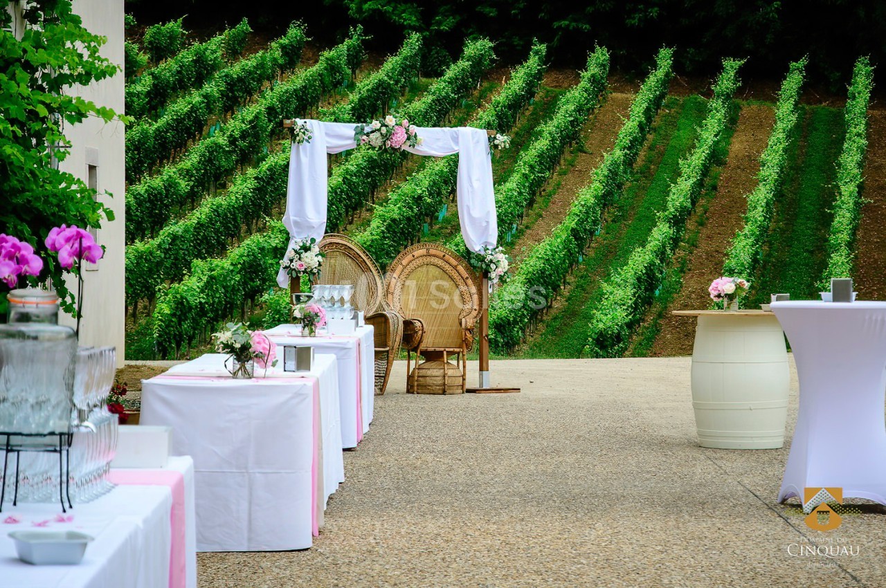 Domaine du Cinquau - galerie - photo 59