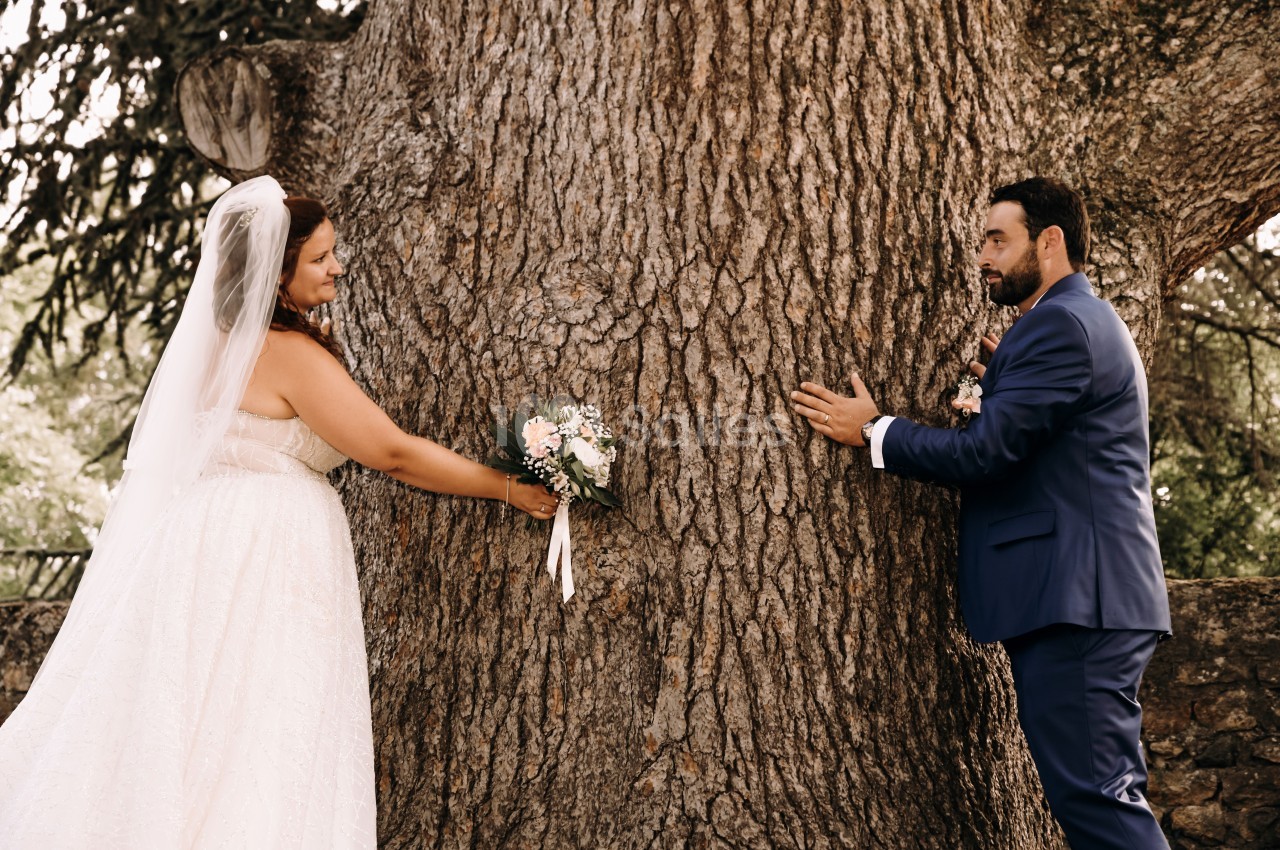Un couple en tenue de mariage se tient de part et d'autre d'un grand arbre, se regardant avec complicité.