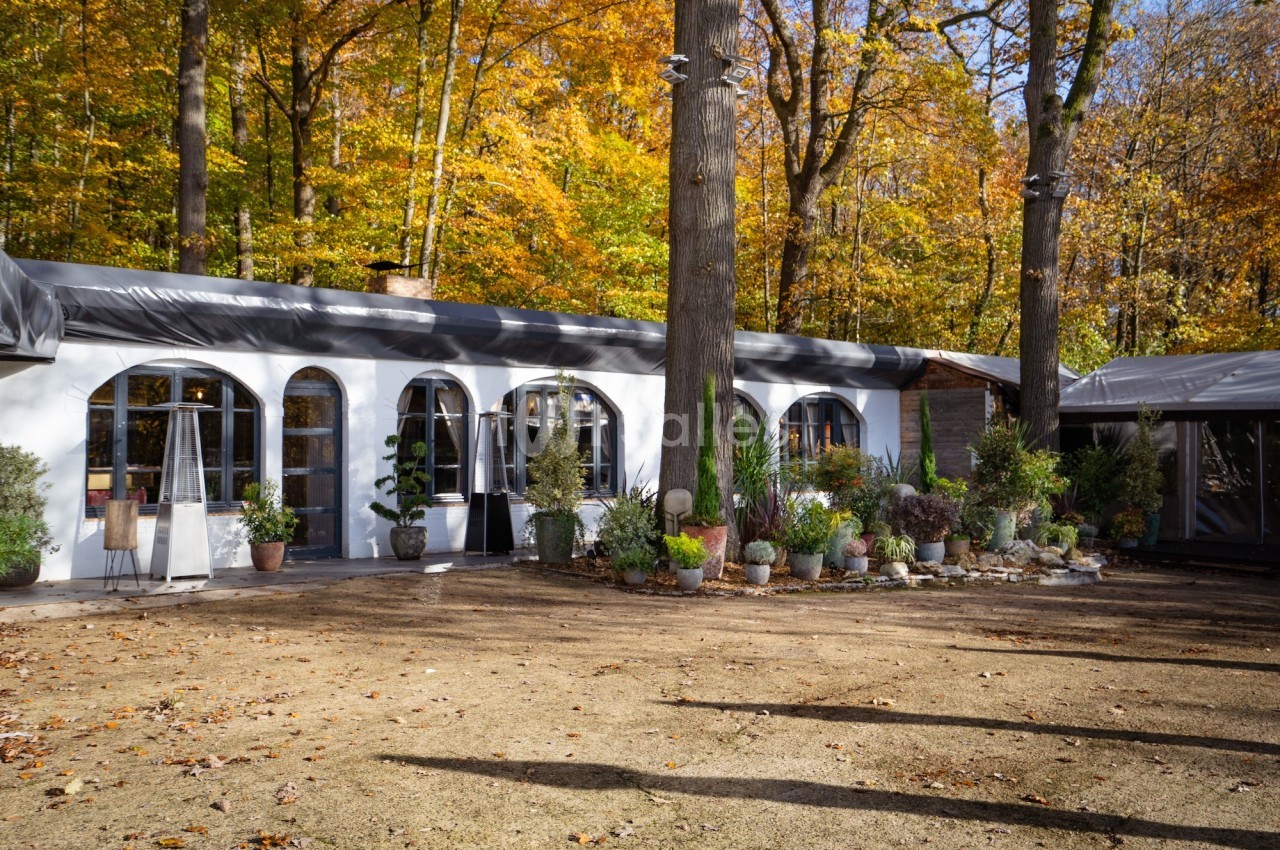 Bâtiment blanc entouré de plantes en pot, situé dans une clairière boisée aux couleurs automnales.