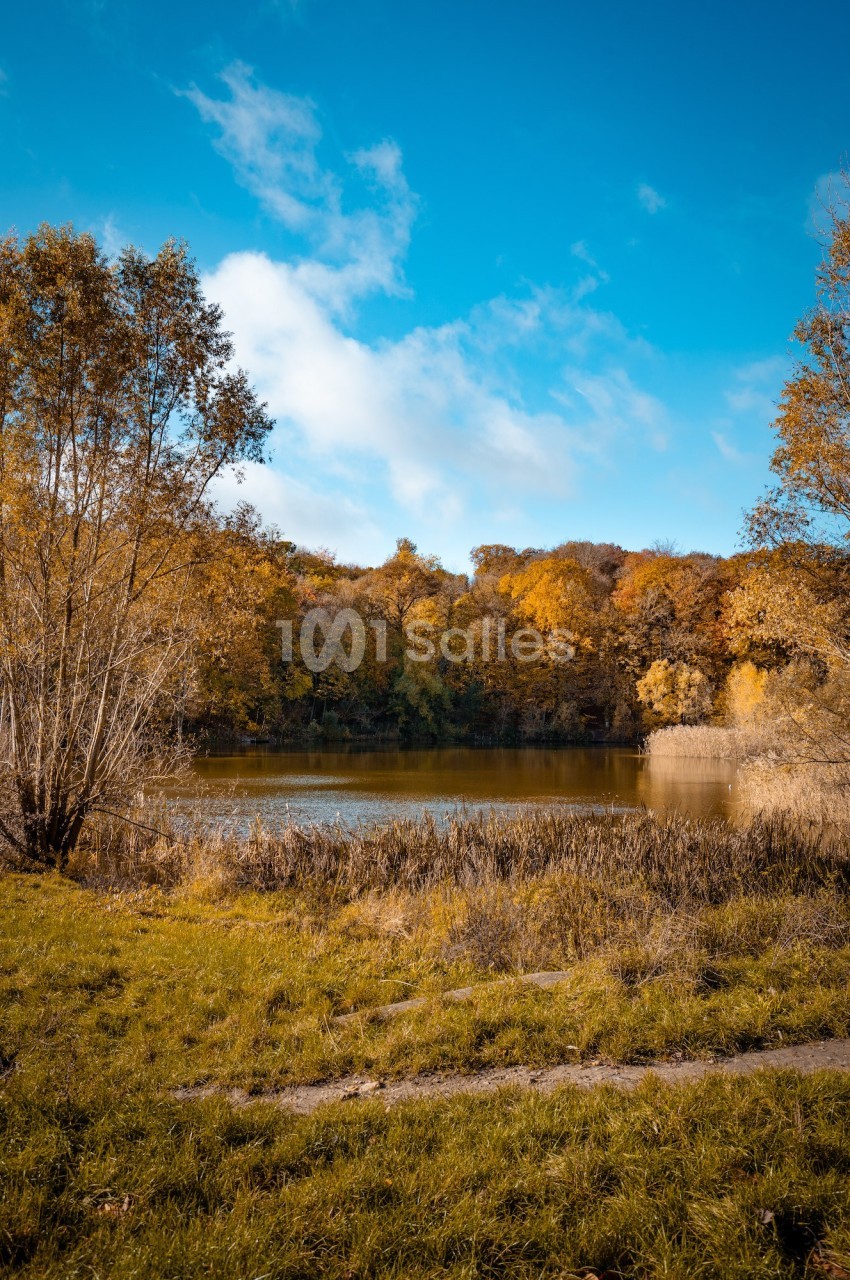 Paysage automnal avec un lac entouré d'arbres aux feuilles dorées sous un ciel bleu dégagé.