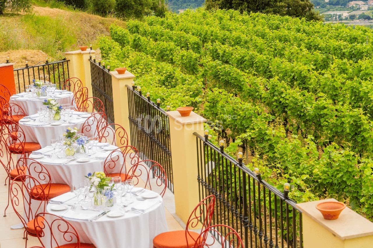 Tables dressées avec nappes blanches et chaises rouges sur une terrasse surplombant des rangées de vignes verdoyantes.