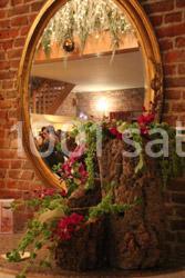 La Ferme Des Oliviers - photo 4