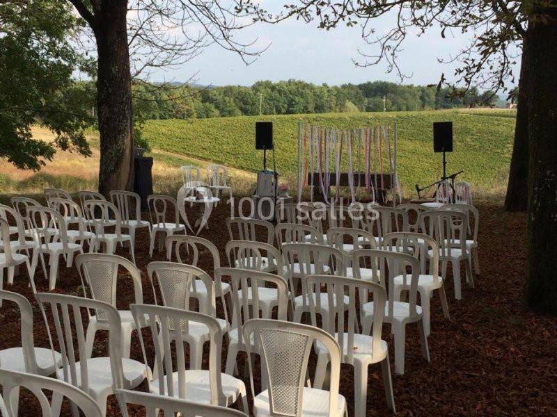 Château Castegens - galerie - photo 16