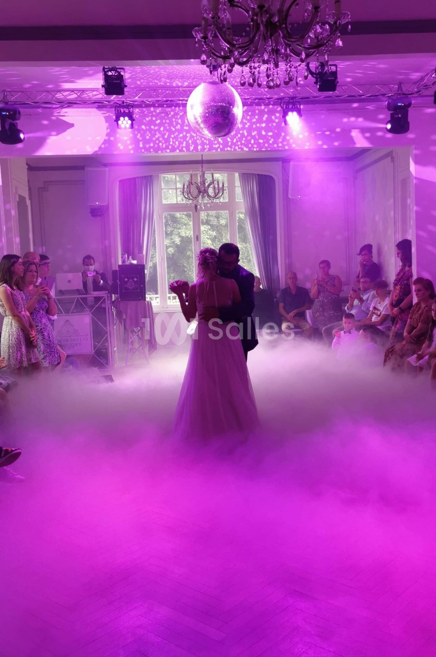 Manoir Des Lys - galerie - photo 6