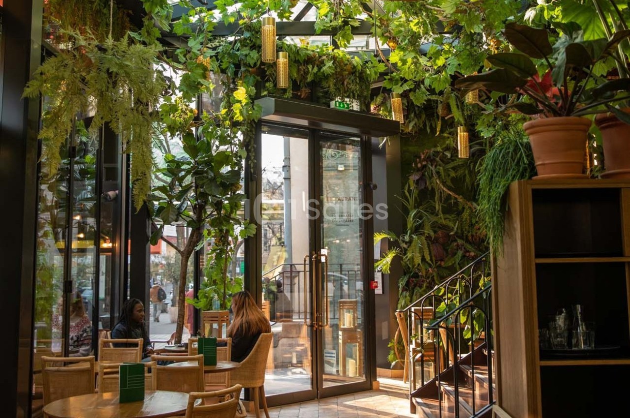 Intérieur d'un café lumineux avec des plantes suspendues, des tables en bois et des chaises en rotin.