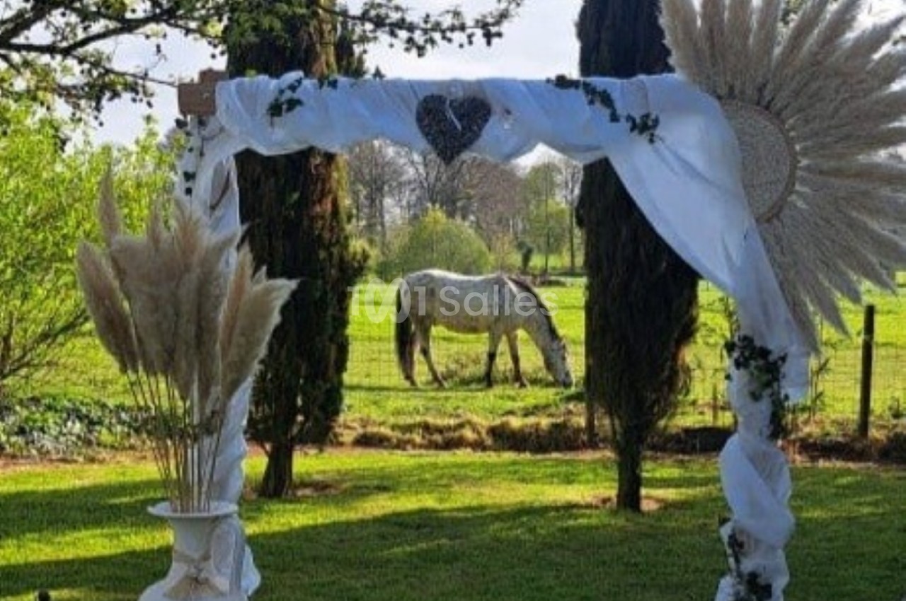 Arche décorée de tissu blanc, pampas et feuillage, avec un cheval broutant dans un champ en arrière-plan.