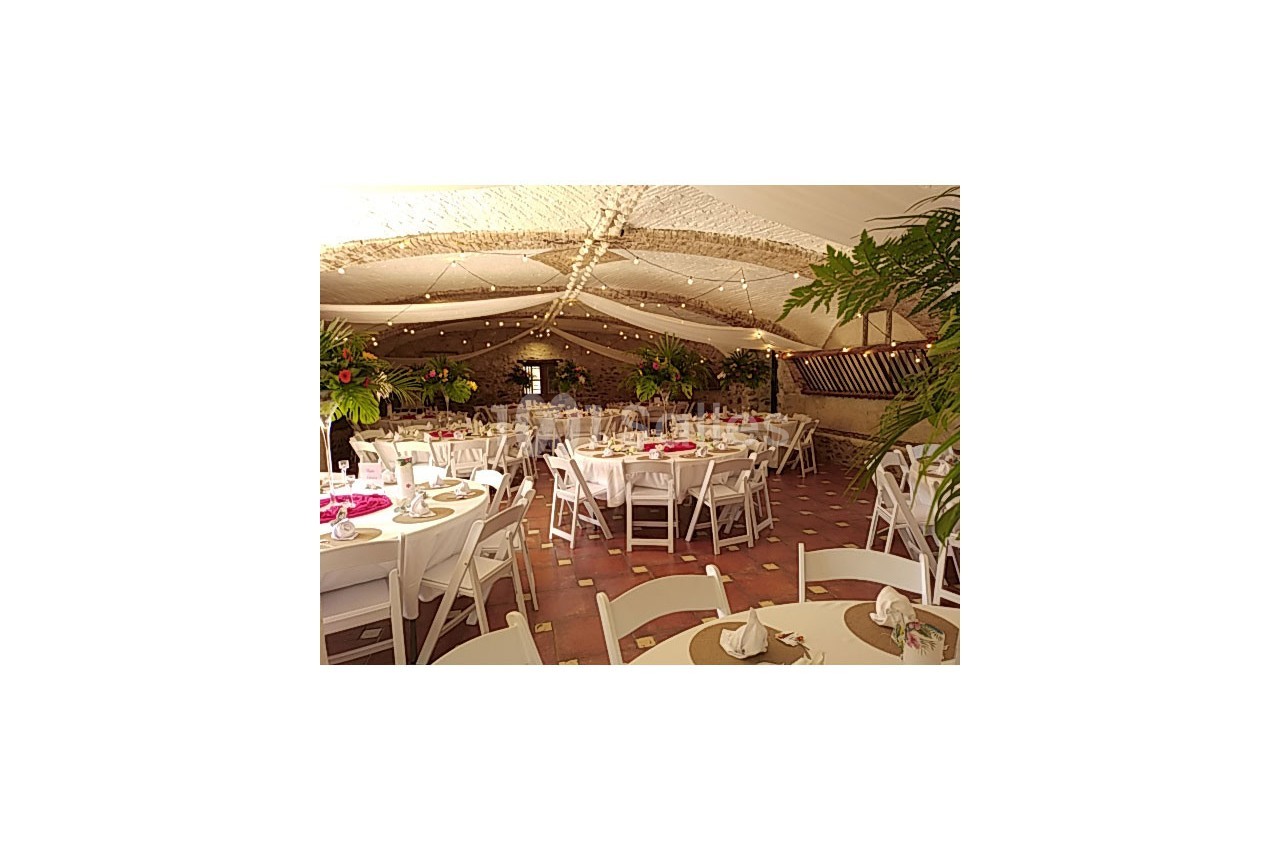 Salle de réception décorée avec des tables rondes dressées, des chaises blanches et des plantes entourant l'espace.