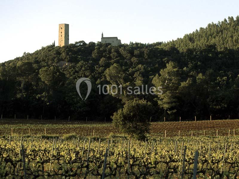 Château De Saint Martin - galerie - photo 13